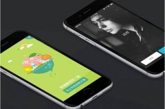 零售APP效果